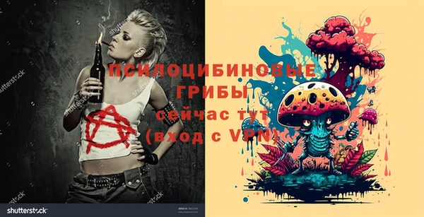 spice Алексин