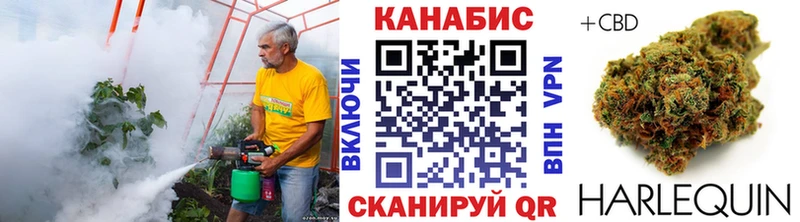 где купить наркотик  Каневская  Шишки марихуана Ganja 
